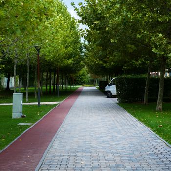 Walking path in the empty park daytime 