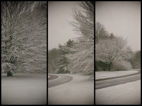 Winter forest. Vintage style photo