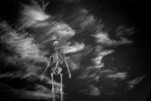 Skeleton. Ghostly clouds in the sky