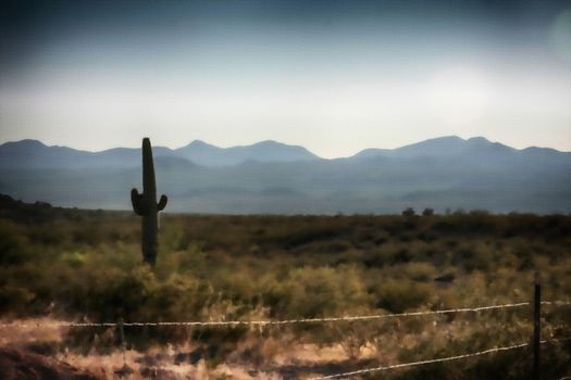 Cactus in a desert landscape. Mountains at the horizon