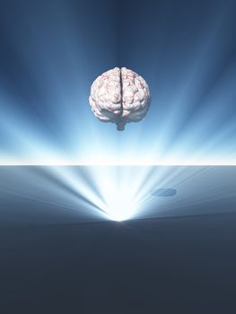 Human brain hovers in rays of light