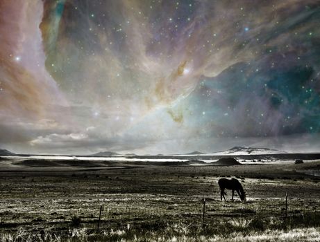 Horse in surreal landscape. Vivid nebulae in the sky