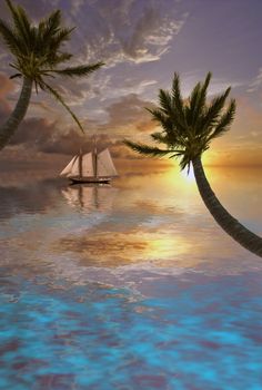 Sailboat in tropical waters. Palm trees and beautiful sunset