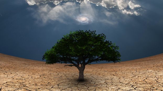 Surrealism. Green tree in arid land. Galaxy in blue sky
