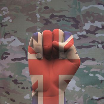 UK Fist with Camouflage. 3D rendering