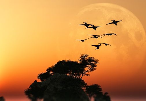 Asia Sunrise. Flock of birds and full moon. 3D rendering