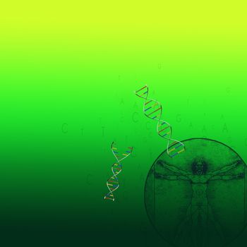 DNA strands and vitruvian man