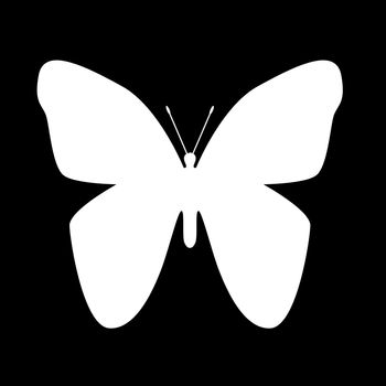 Butterfly shape. Black and white
