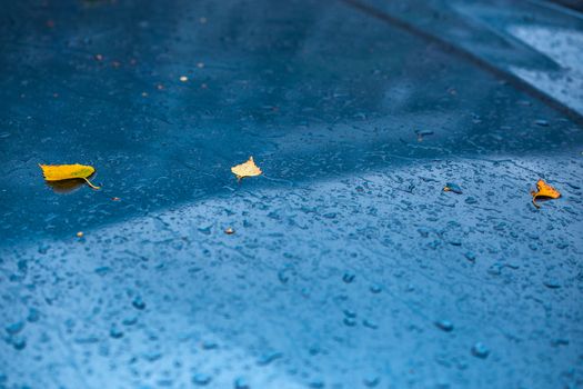 wet aquamarine blue car surface at autumn rainy day with yellow birch leaves and water drops - selective focus closeup composition with natural lens bokeh blur