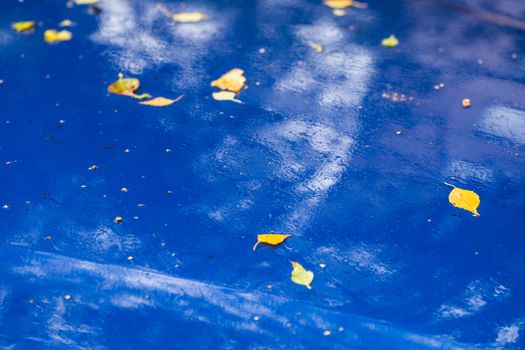 wet sapphire blue car surface at autumn rainy day with yellow birch leaves - selective focus with blur closeup composition