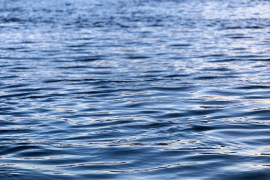 abstract water surface closeup with small plain ripples and selective focus.