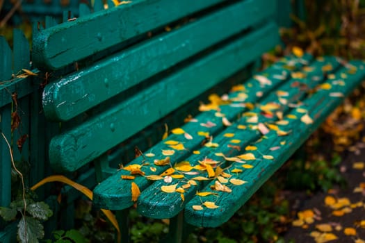 mint green painted wooden bench with autumn fallen leaves- shallow depth of field selective focus close shot.