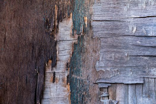 old destroyed plywood sheet closeup surface texture.