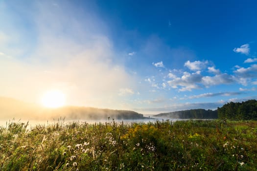 foggy riverside at summer sunrise with wet grass in foreground