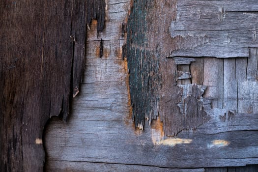 old destroyed plywood sheet closeup surface texture.