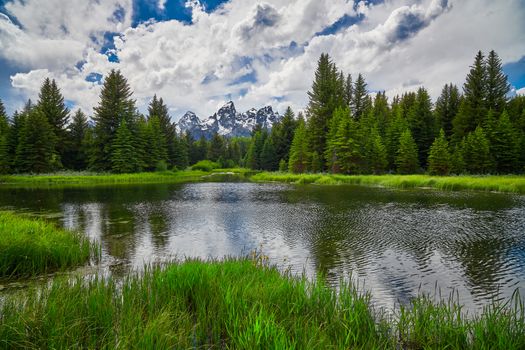 Beaver pond with the Grand Teton Mountains in the background.