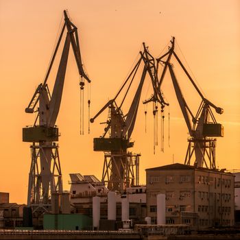 Industrial cargo cranes in the dock at sunset