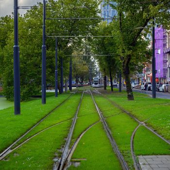 Railroad covered in grass in Rotterdam city center