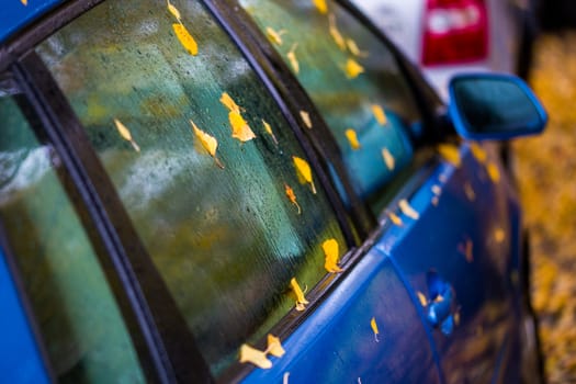 wet ultramarine blue car side at cloudy daylight with autumn leaves and selective focus