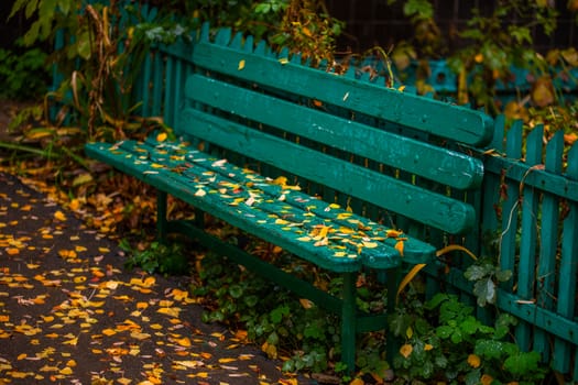 mint green autumn bench with yellow birch leaves at evening.