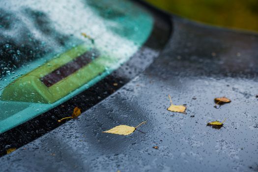 dark blue car at autumn rainy day with orange birch leaves - selective focus with blur closeup composition