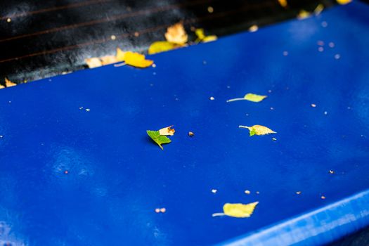 sapphire blue wet car surface at autumn morning with yellow birch leaves - selective focus with blur closeup composition