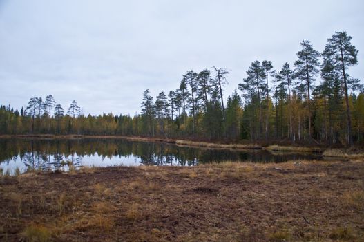 Nature in the region of Kainuu, Finland