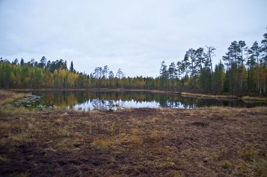 Nature in the region of Kainuu, Finland