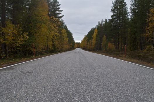 Empty road in the region of Kainuu, Finland