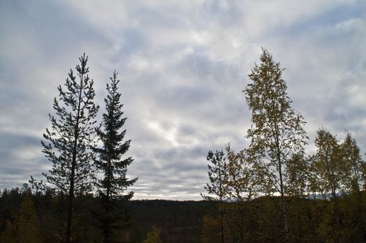 Nature in the region of Kainuu, Finland