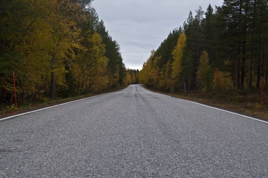 Empty road in the region of Kainuu, Finland