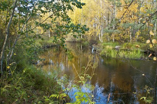 Little river in the region of Kainuu, Finland