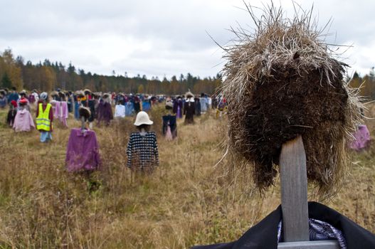 Art in a field in the region of Kainuu, Finland