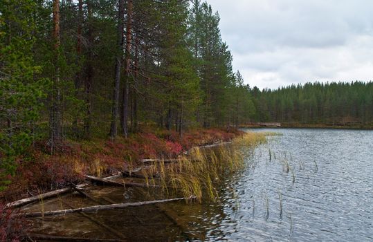 Lake in a national park in East-Finland