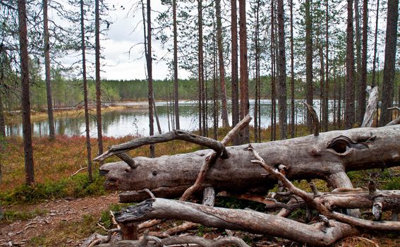 Lake in a national park in East-Finland