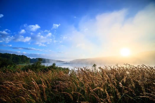 foggy riverside at summer sunrise with wet grass in foreground