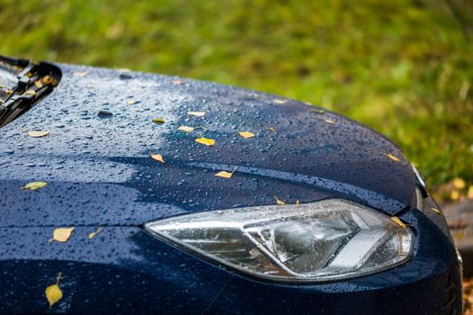 blue car at rainy autumn weather with orange birch leaves - selective focus win blur closeup composition