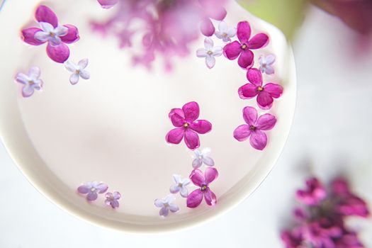 Five-pointed lilac flower among lilac flowers in a cup with water. Spa ritual. Lilac branch with a flower with 5 petals.