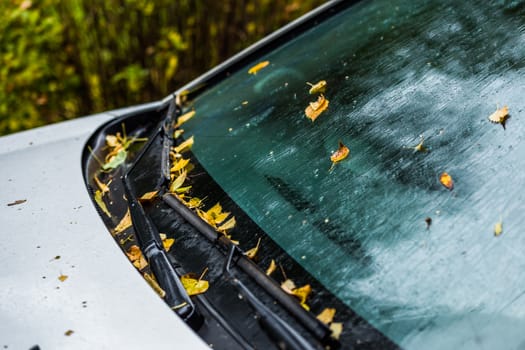 white car at autumn rainy day with orange birch leaves - selective focus win blur closeup composition
