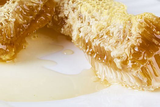 Pieces of honeycombs with organic honey on a white table