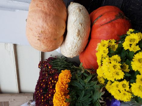 pumpkins and gourds outdoor with white house and flowers