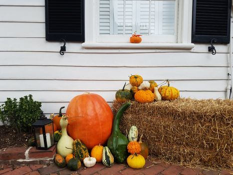 pumpkins and gourds on hay or straw bale and white house or home