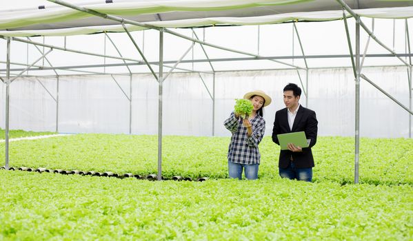 Men inspect farm standards by using technology in their work and go to the field to check the freshness of vegetables.