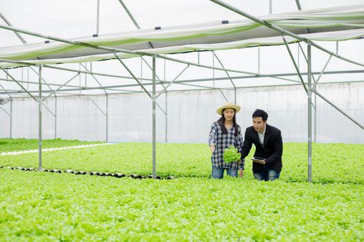 Farmer is suggesting  how to take care of vegetables in the beautiful Hydroponics.