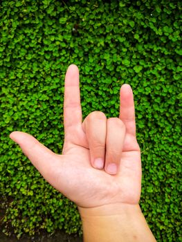 boy's hand did hand sign of love on Desmodium triflorum background.