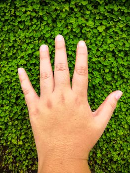 boy's backhand on Desmodium triflorum background.