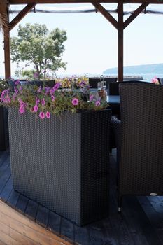 large wicker flowerpot with ampel flowers in a summer seaside cafe