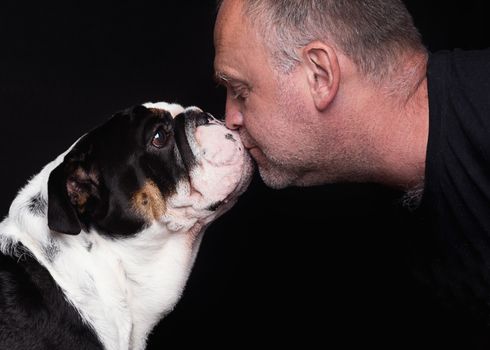 Black and white English Bulldog and man looking each other against black background