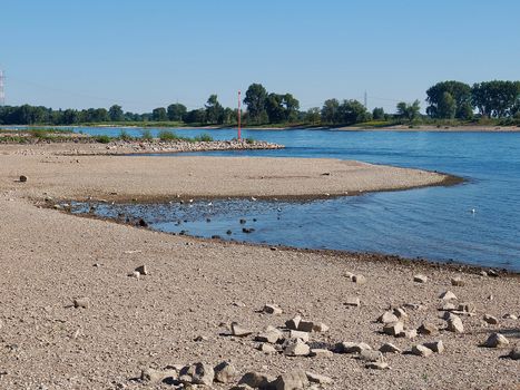 Beautiful nature at Rhine river in Germany