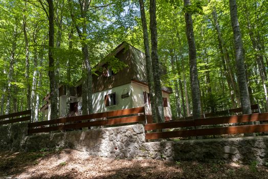 wooden huts for rentals during the year in monte amiata province of siena